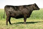 rathbun-w602-rf