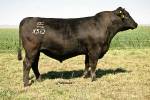 rathbun-x510-rf