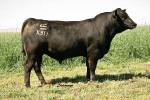 rathbun-x511-rf