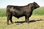 rathbun-x548-rf