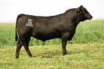 rathbun-x551-rf
