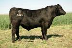 rathbun-x588-rf