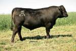 rathbun-x619-rf