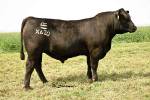 rathbun-x620-rf