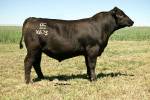 rathbun-x635-rf