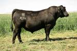 rathbun-x656-rf