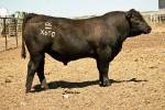 rathbun-x658-rf