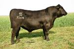 rathbun-x664-rf