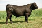 rathbun-x671-rf