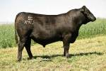 rathbun-x903-rf