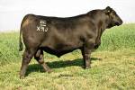 rathbun-x910-rf