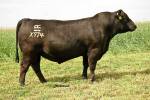 rathbun-x974-rf