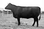 p541___